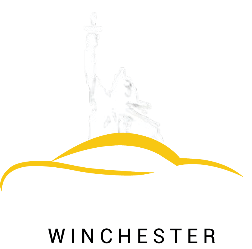 taxilinkwinchester.co.uk